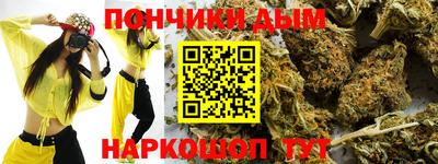 шишки Будённовск