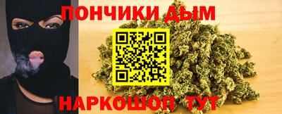 шишки Будённовск