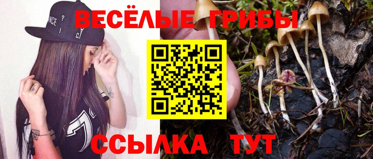 Псилоцибиновые грибы мицелий  как найти закладки  Вход с VPN  Советская Гавань  Галлюциногенные грибы прущие грибы 